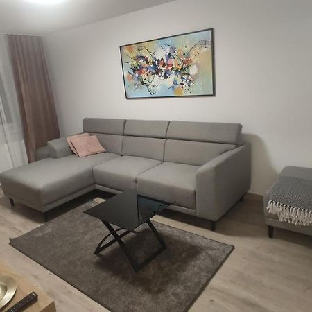 Apartmán Popasu Din Oras Baia Mare Exteriér fotografie