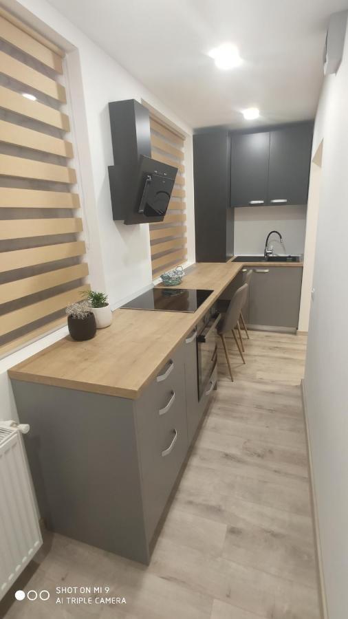 Apartmán Popasu Din Oras Baia Mare Exteriér fotografie