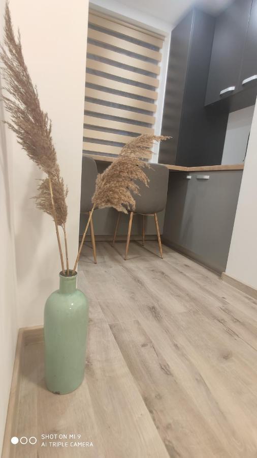 Apartmán Popasu Din Oras Baia Mare Exteriér fotografie