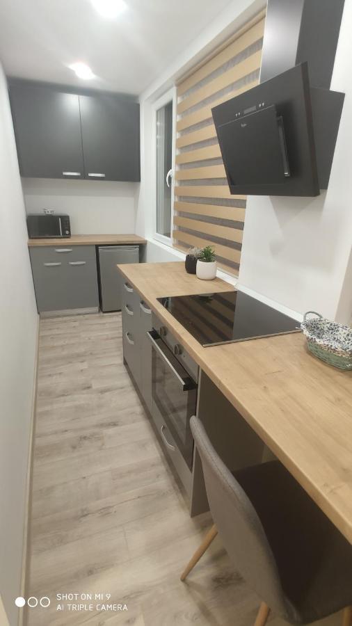 Apartmán Popasu Din Oras Baia Mare Exteriér fotografie